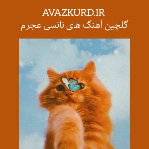 گلچین آهنگ های نانسی عجرم