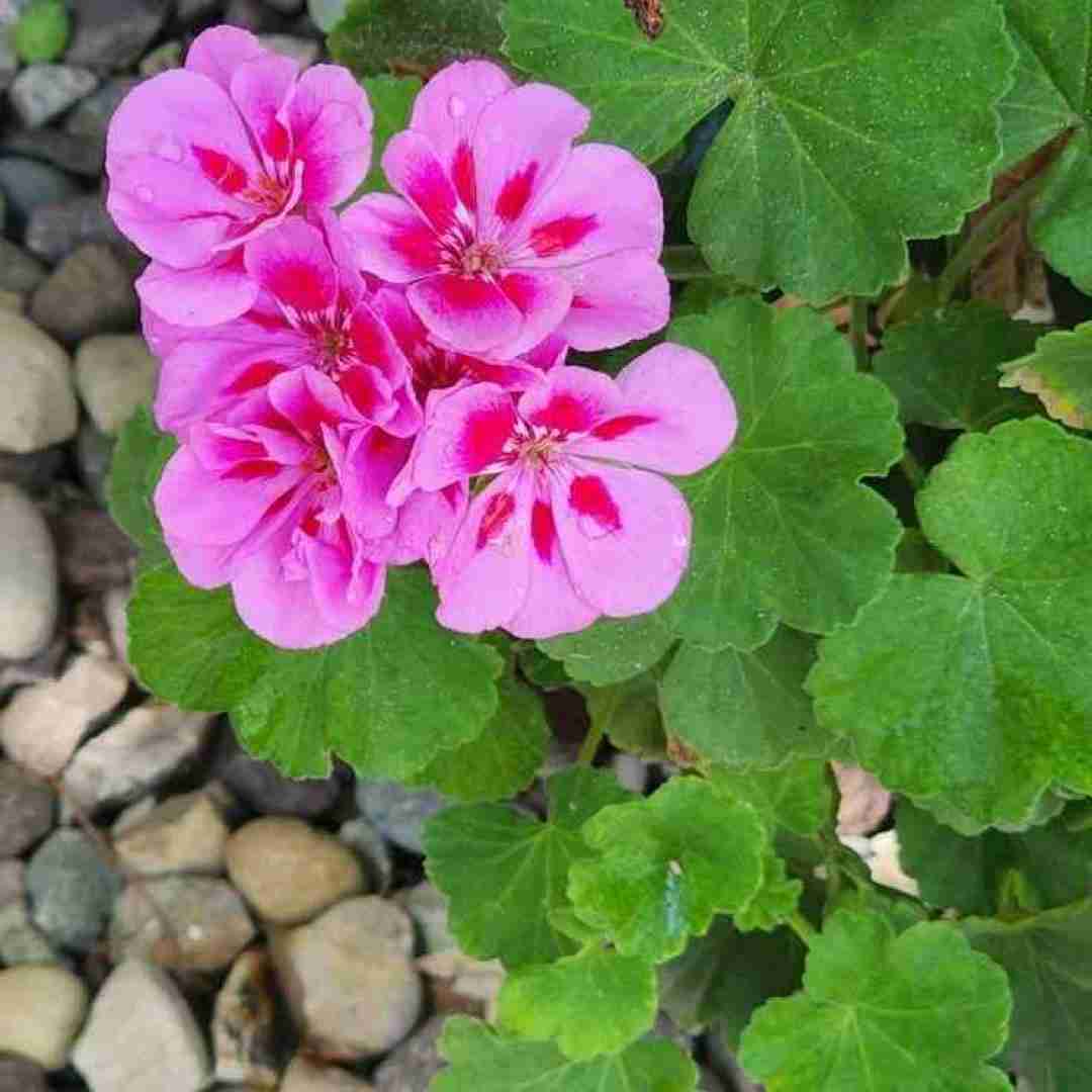  بازی تازه داره هارد میشه من