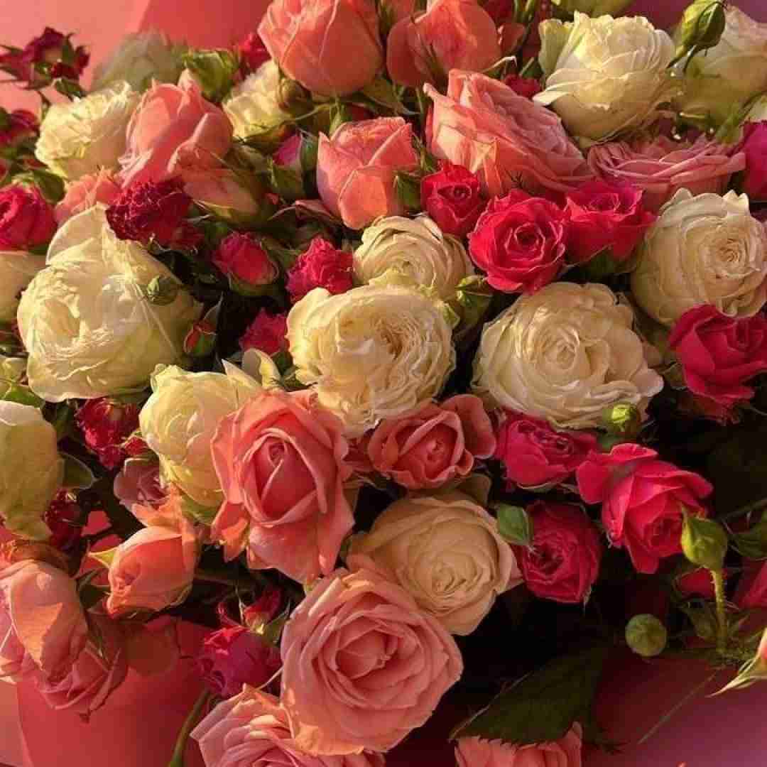  بیا قهر نباشیم بیا از دل هم دراریم