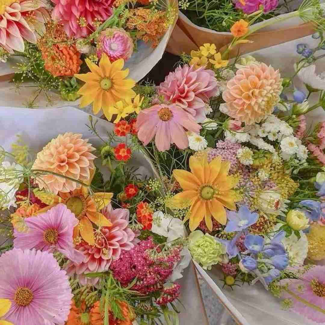  مرد اون که واسه تو زد از دلش