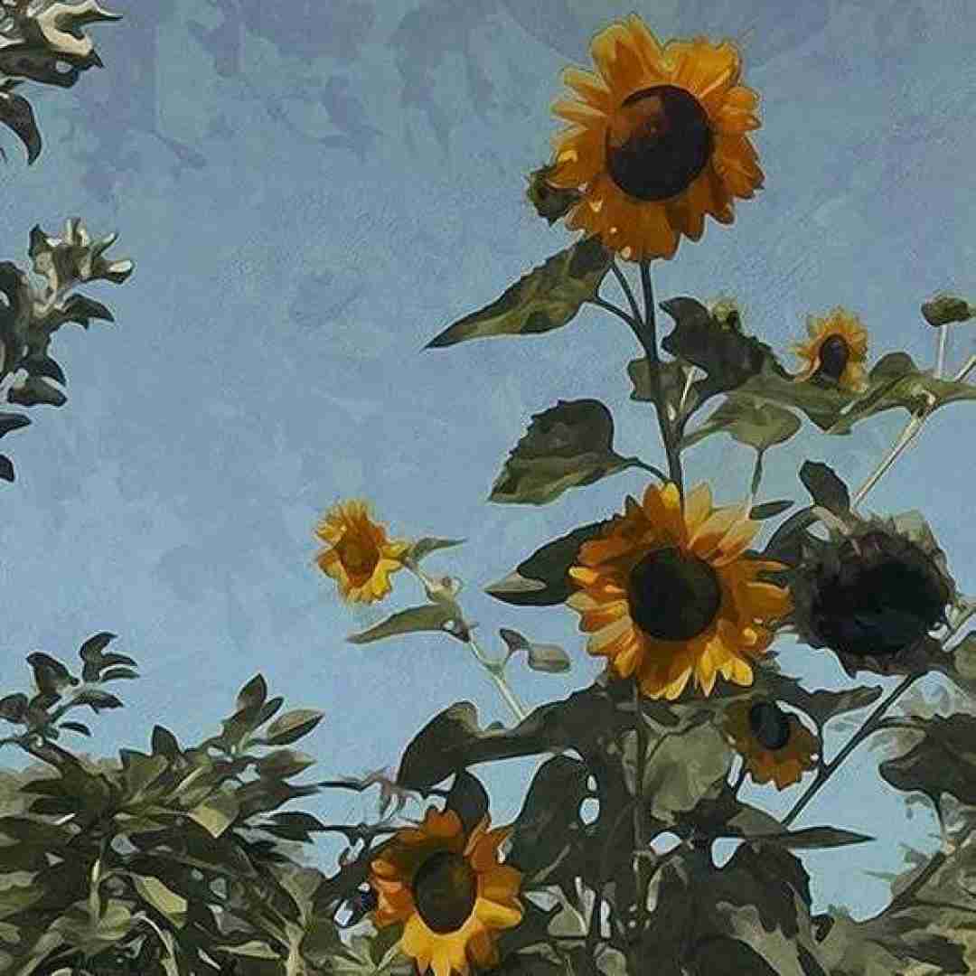  خانوم گل آی خانوم گل برام سخته تحمل