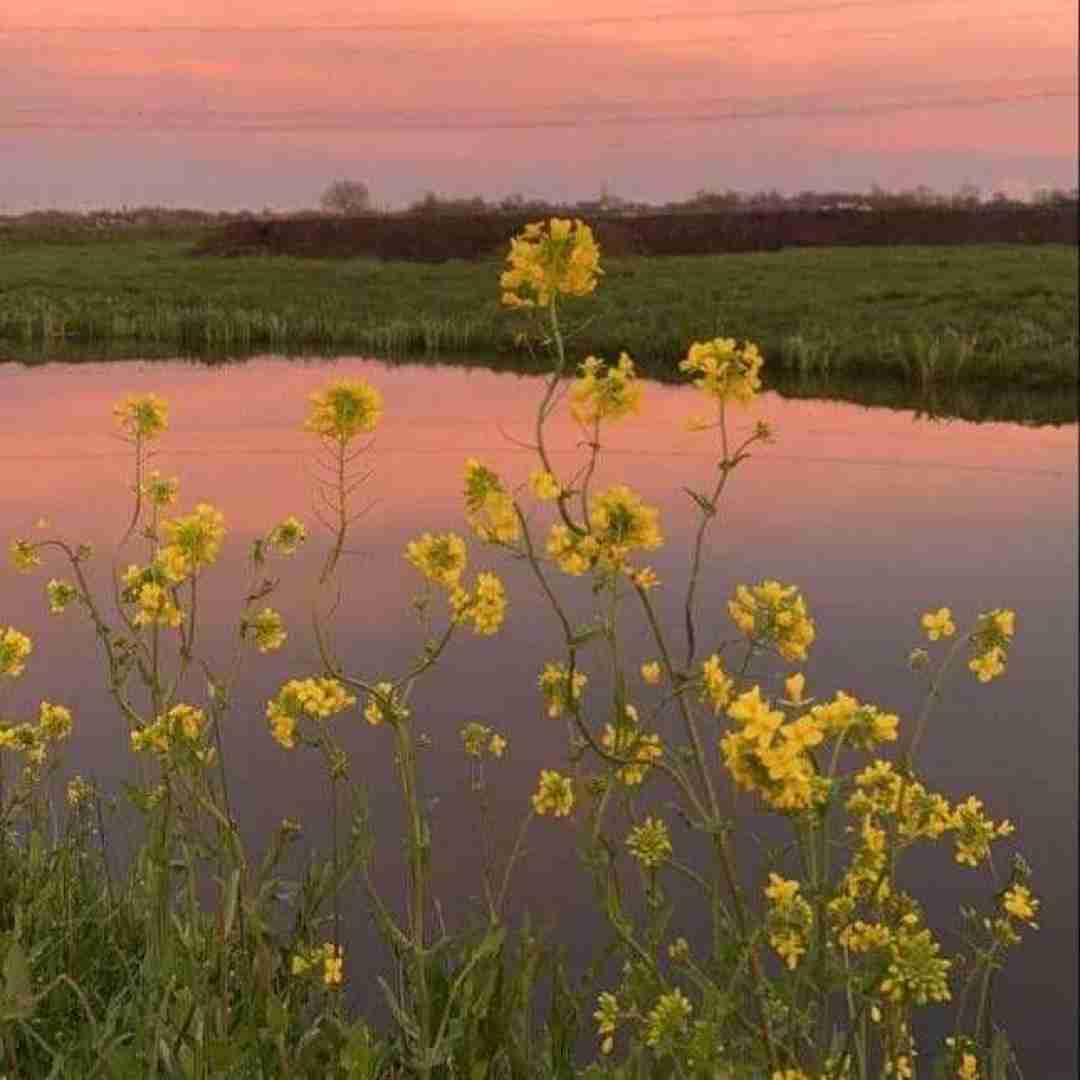  داری فیس قشنگ و چشمای خوش رنگ و