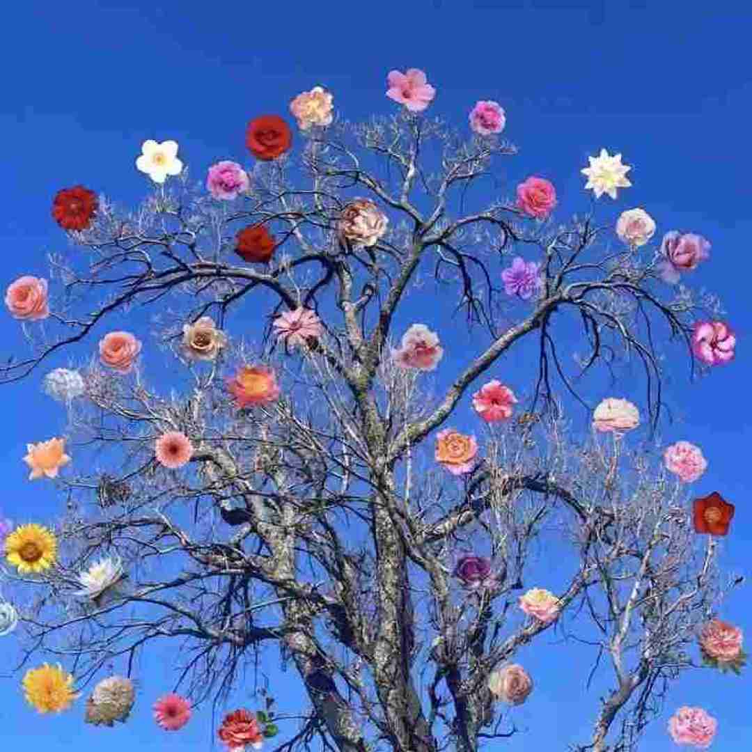  ولی آخر اسفند ای کاش تموم نشه