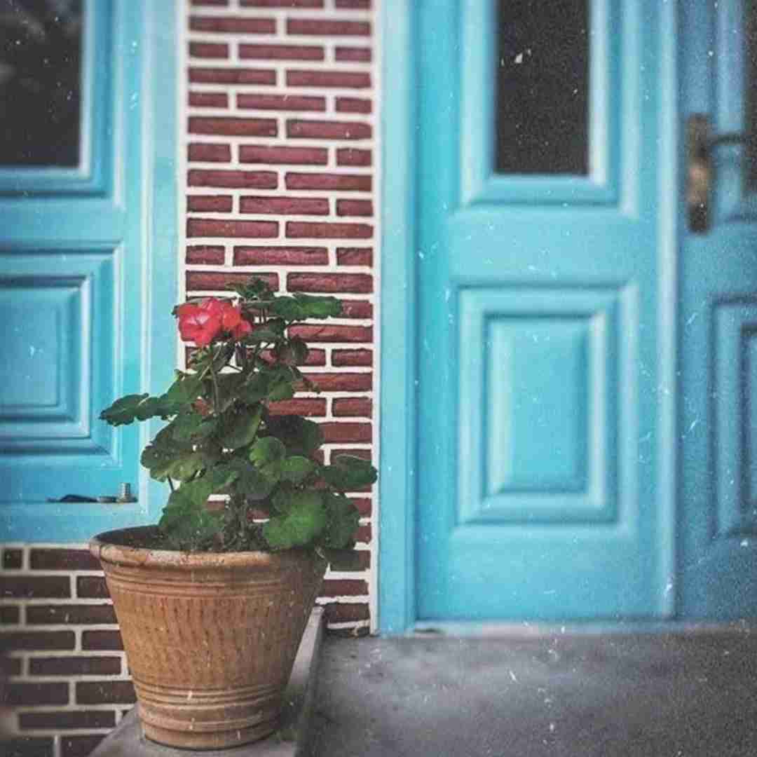 اصلا معلومه دلت اینجا نیست رو صورتم فیس کیو