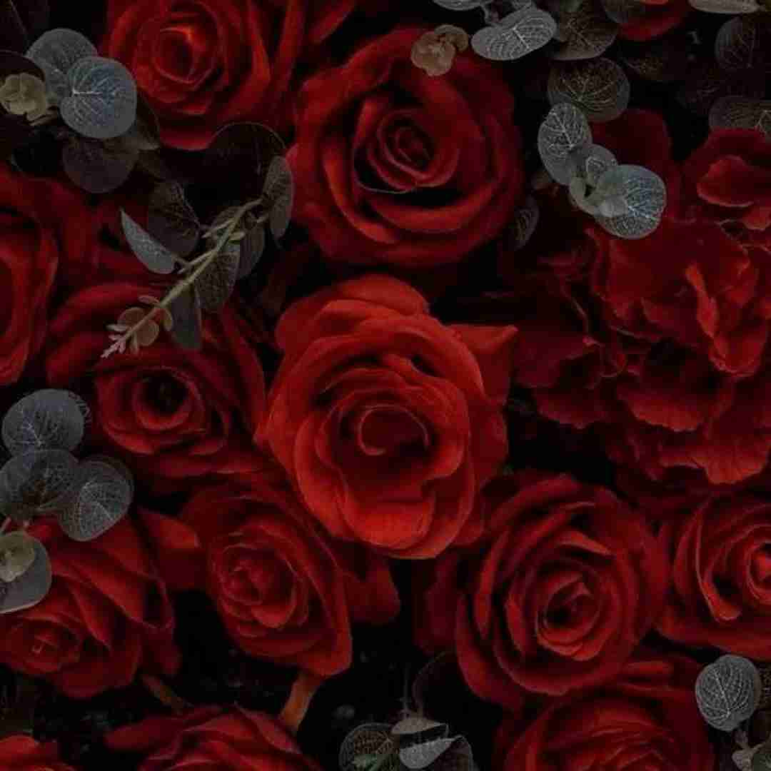  چشات از جنس مرغوبه چقدر حال چشات خوبه