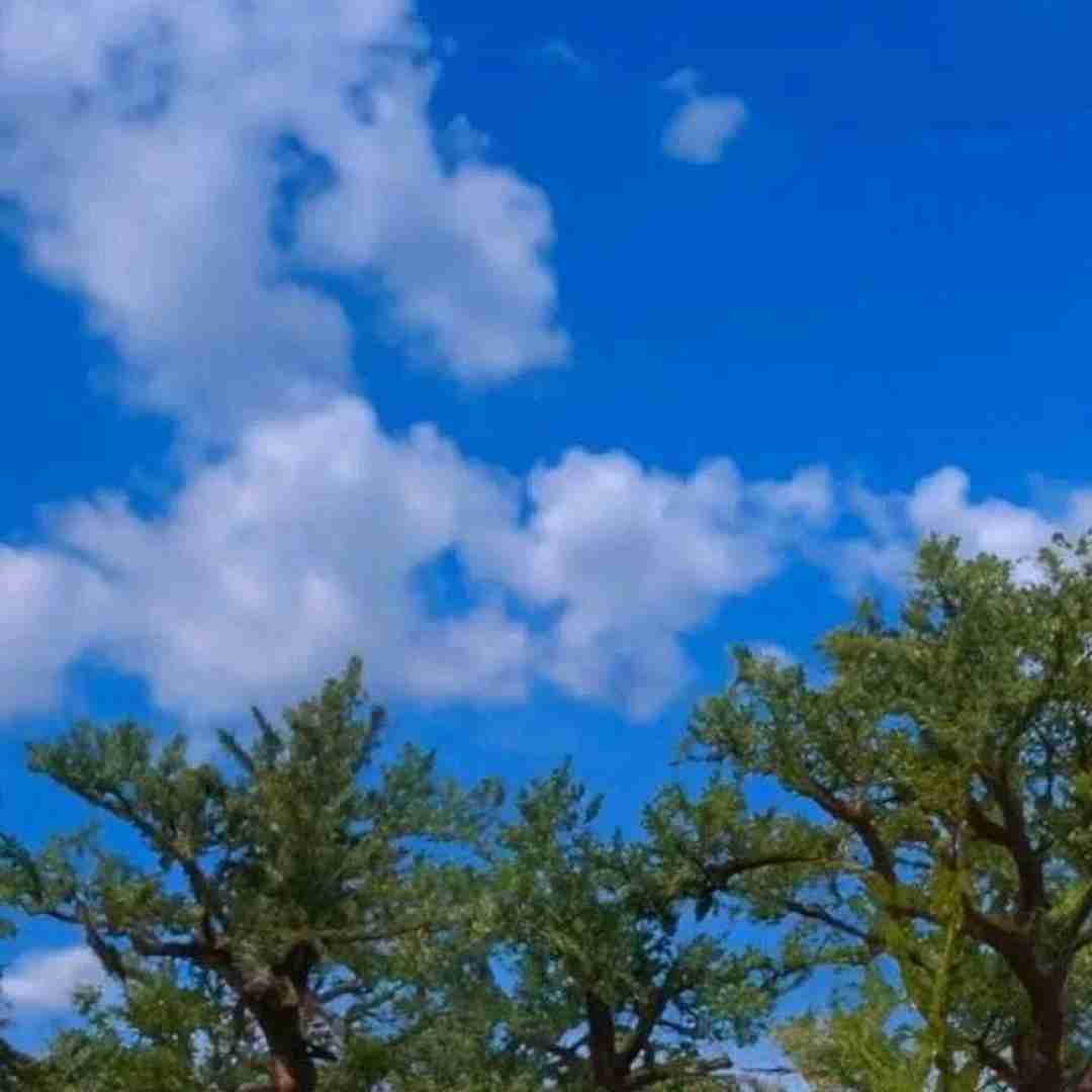  اگه دخترا رو ببرن خدمت تو پادگان