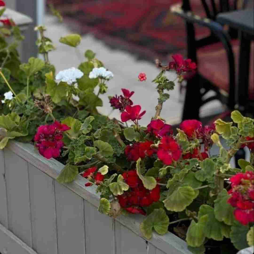  حیف نبودم من یکم رو به راه