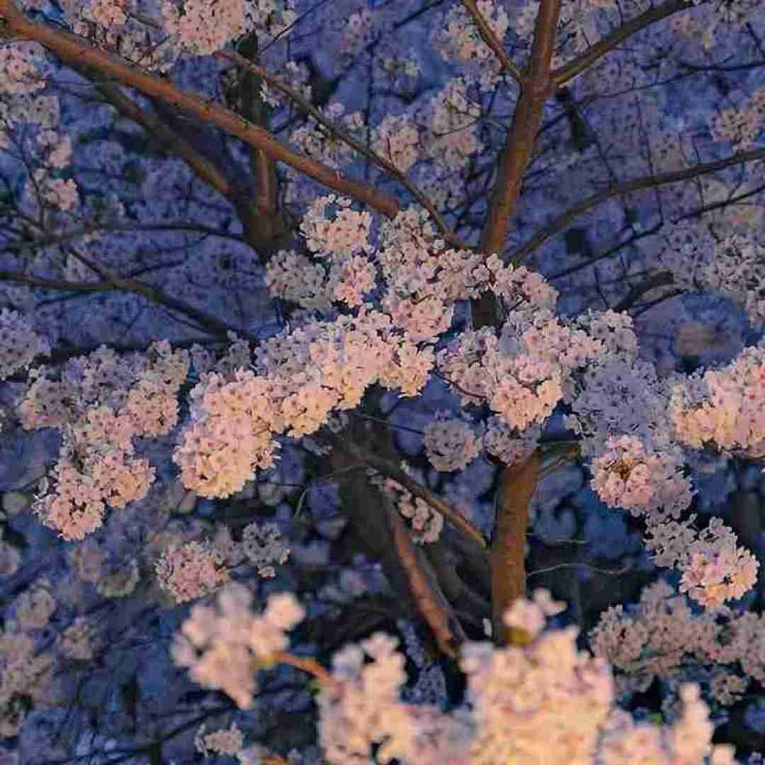  همش دنبال عیبای ماست تا بذاره تو پیجای