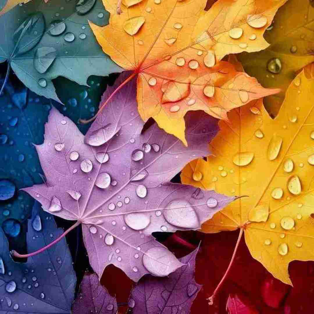 فهمیدم نسبت بهت بد بینم من با این درگیرم ازت بد میگن