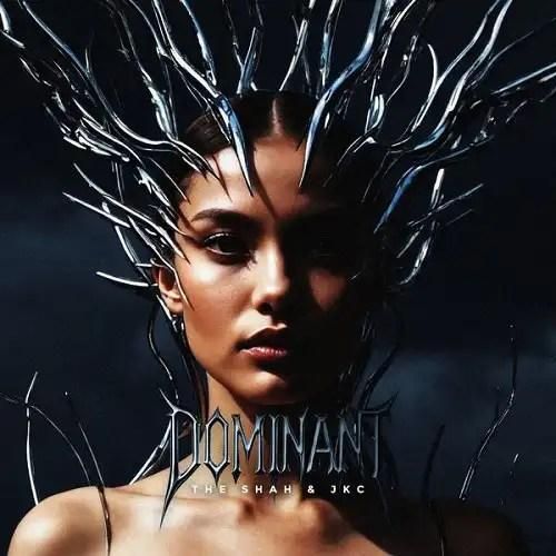 شاهین نجفی دامیننت