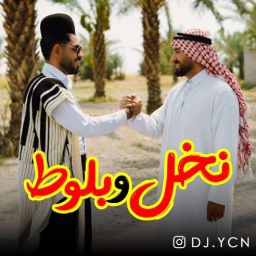 دیجی یاسین نخل و بلوط