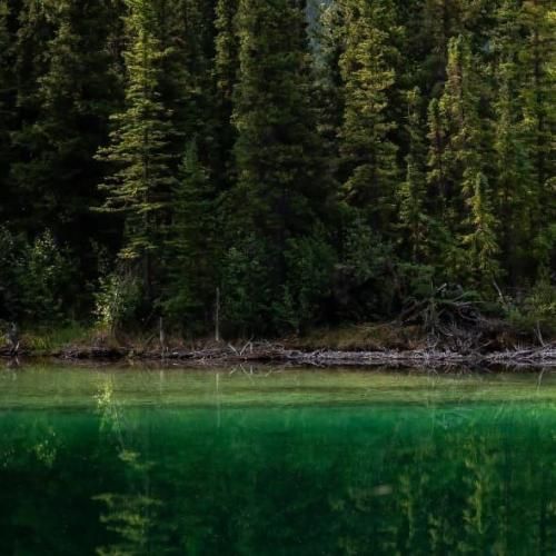  اسپانیایی بهم بگو باید چیکار کنم من تورو خیلی میخوامت