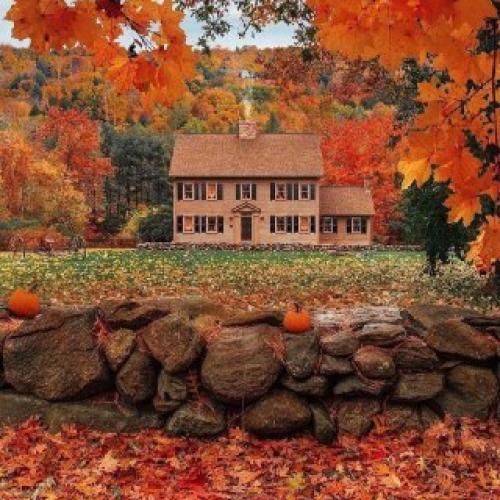  نمیچینم گلی که خار داره دلبر نگیرم دلبری