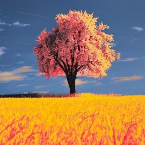 اگه یه درصدم شد دلت تنگ باز