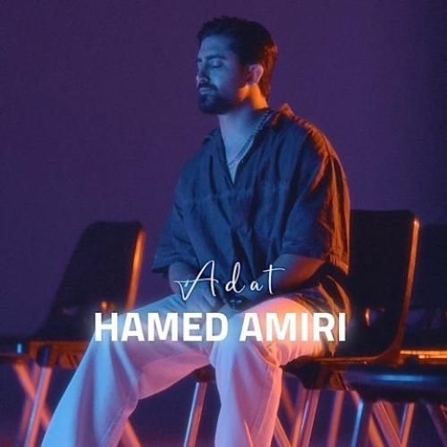 حامد امیری عادت