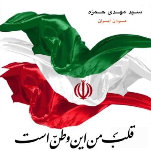 سید مهدی حمزه مردان ایران
