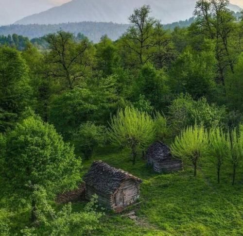  دیگه خاطرم نیست زندگی کجاست