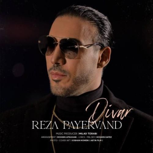 رضا پایروند دیوار