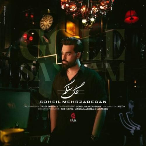 سهیل مهرزادگان گل سنگم