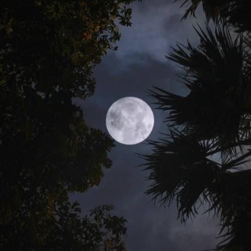 نیست راه برگشتی هنوز از پس رفتنت