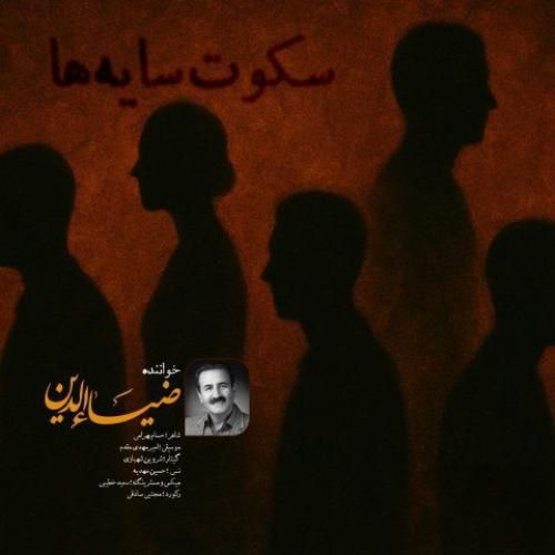 ضیاء الدین سکوت سایه ها