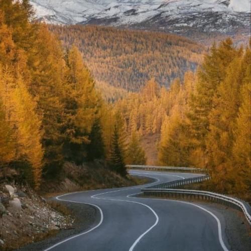  موندم به جات خوندم به جات جون چشات بده نجات