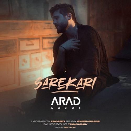 آراد عابدی سرکاری