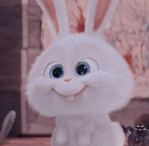 هنوزم تو نباشی تو این شهر من یه غریبم