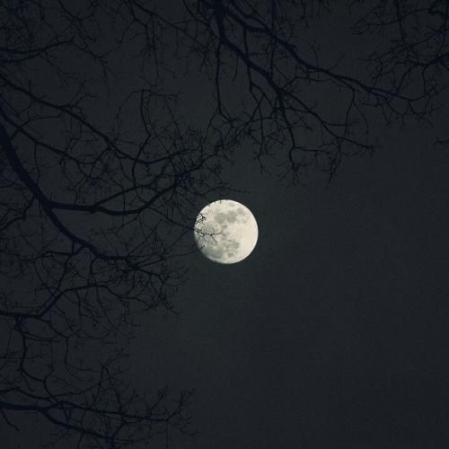   رد شدی از کوچمون هوری دلم ریخت