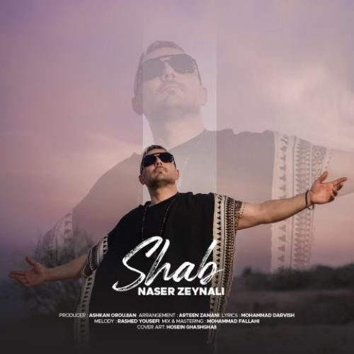 ناصر زینلی شب