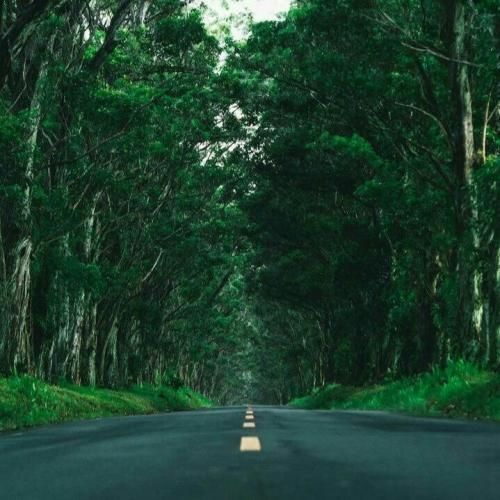 سیا دور دورت