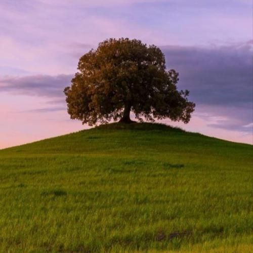  اینارو ولش کن عشق چیشد حالا من موندمو یه کنج خلوت