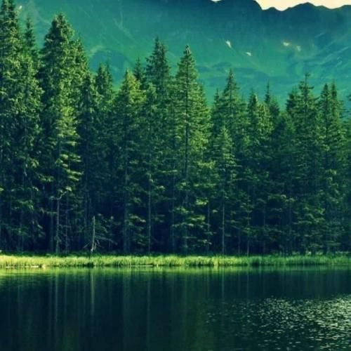  من زنده بودم الان رفته که رفته بی تو داغونم