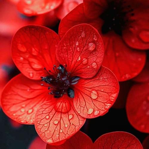  بیا پیشم بمون تنها نمونم میخوام تا ابد واست بخونم