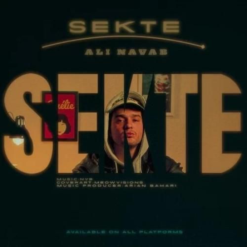 علی نواب سکته