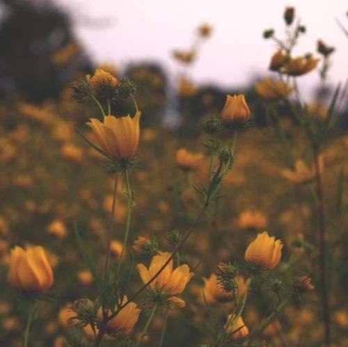 انقد بهم میس نده شمارت تو بلک لیستمه