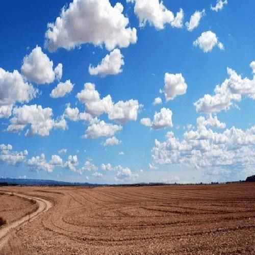  همه امیدمی تو هوام دم تو می دمید