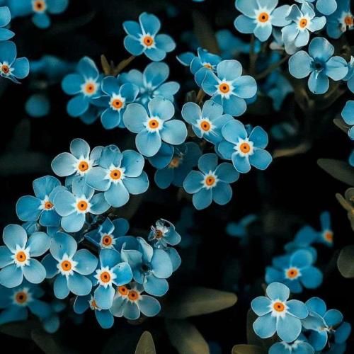  خیابونا به ما اینو کرد دیکته لاشی عین سگ ریخته