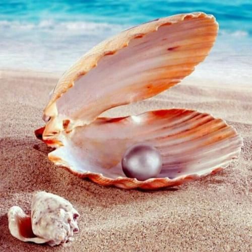 سما خان از پسری خوشم میاد صاحب دین و ایمانه