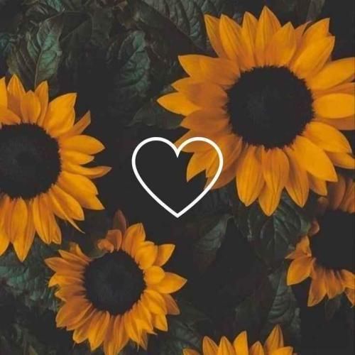 یادته گفتی پیشمی تا ته تهش چجوری میخوابی