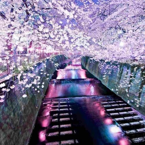  یه ویس کل که اسمم بچر دلم تنگ بیه ارای صدات