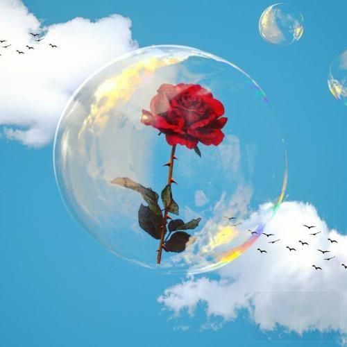  جونمو نثار کردم قربون یار کردم