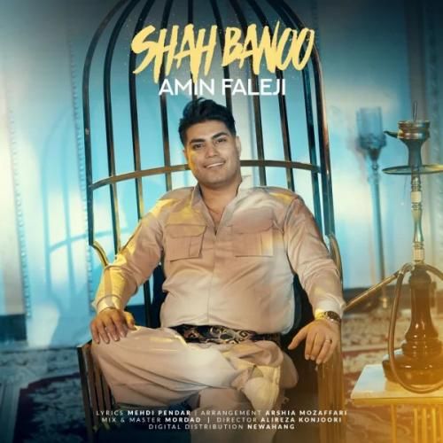 امین فالجی شاه بانو