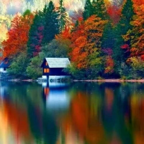  ای که به شبهام صبح سپیدی بی تو کویری بی شامم من