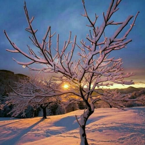  بهش بگید دیگه نمیخوادت دلم به روز صد تا قرص