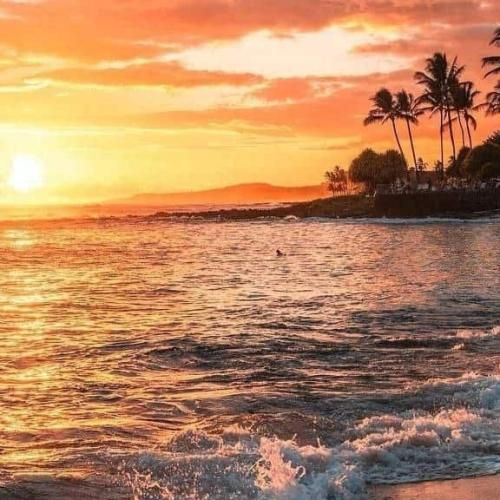  کارم دیگه گذشته از خشاب قرص میخوام اوردوز