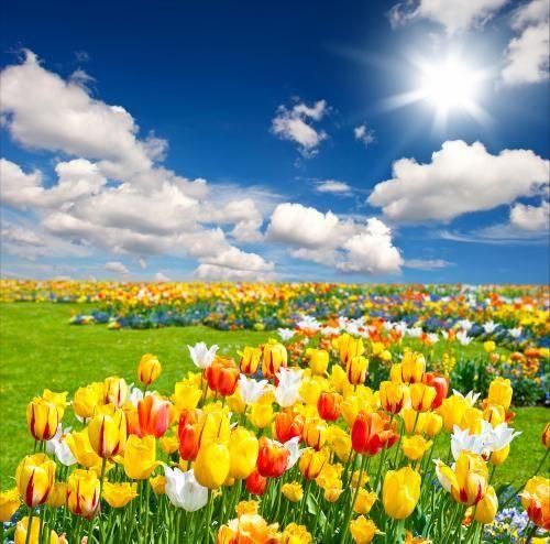  هی هر شب روی لبم هیزین عشق جوری