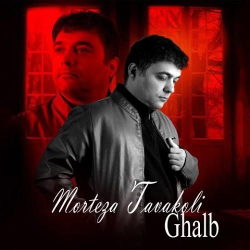 مرتضی توکلی قلب
