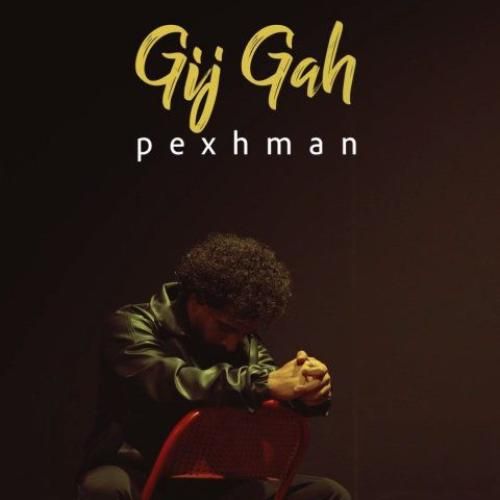 پژمان گیجگاه