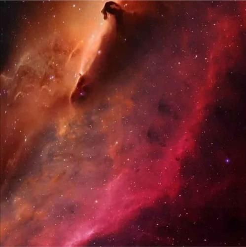   به خدا خواستم بمیرم و غمو نبینم نمیدونم این خشمه